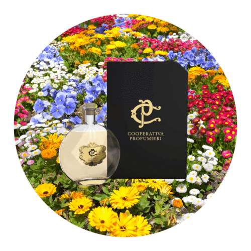 Hochwertiger Raumduft Flower Garden in edler Glasflasche mit Duftstäbchen