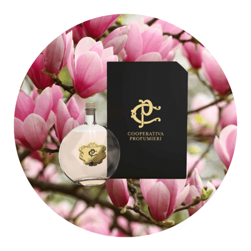 Hochwertiger Raumduft - Magnolia Bouquet: Eleganz und Frische in jedem Raum Hochwertiger Raumduft , beste raumdufte schweiz , luxus dufte bestellen , luxus dufte