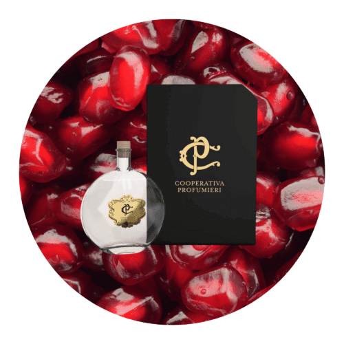 Mediterraner Raumduft Pomegranate mit langanhaltendem Duft und stilvollem Design